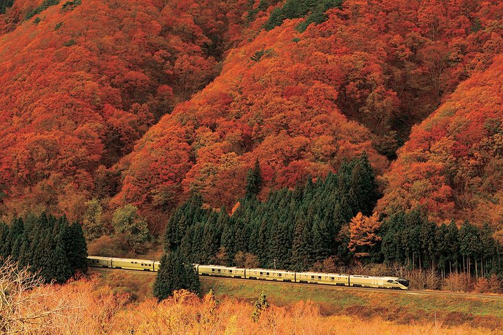 Shiki-Shima Train During Autumn In Japan