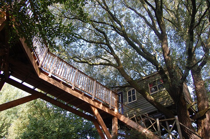 Suspended bridge leading to the tree house