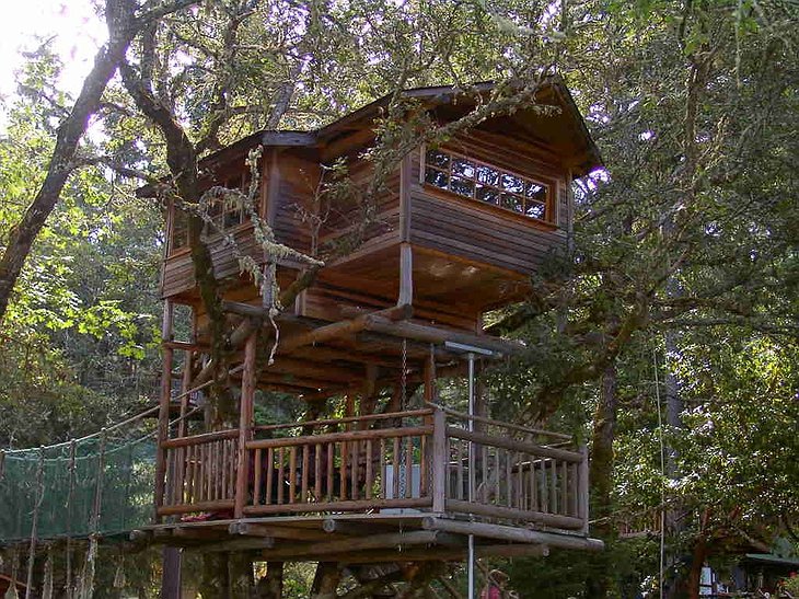 Swiss Family tree house