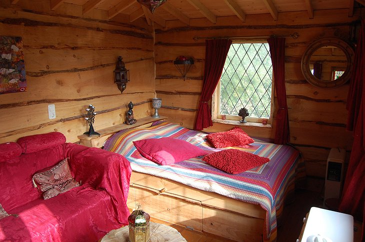 Tree house room