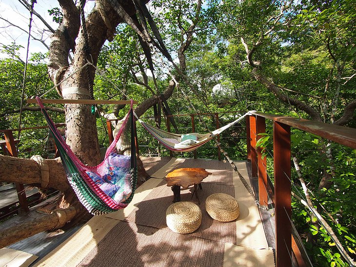 Treeful Treehouse Sustainable Resort Spiral Treehouse Rooftop Hammocks