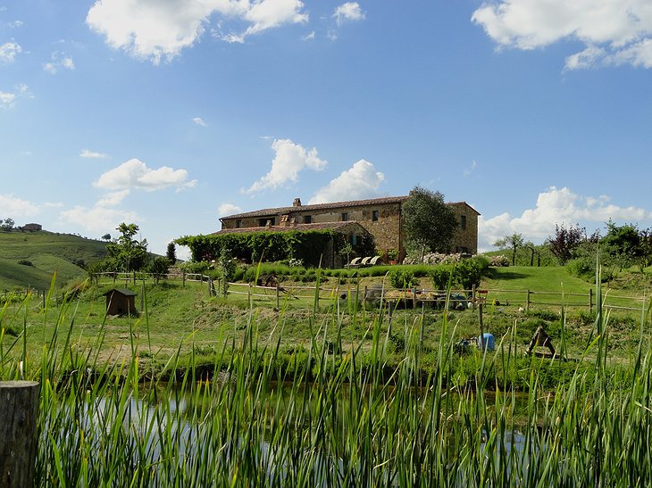 Follonico farmhouse