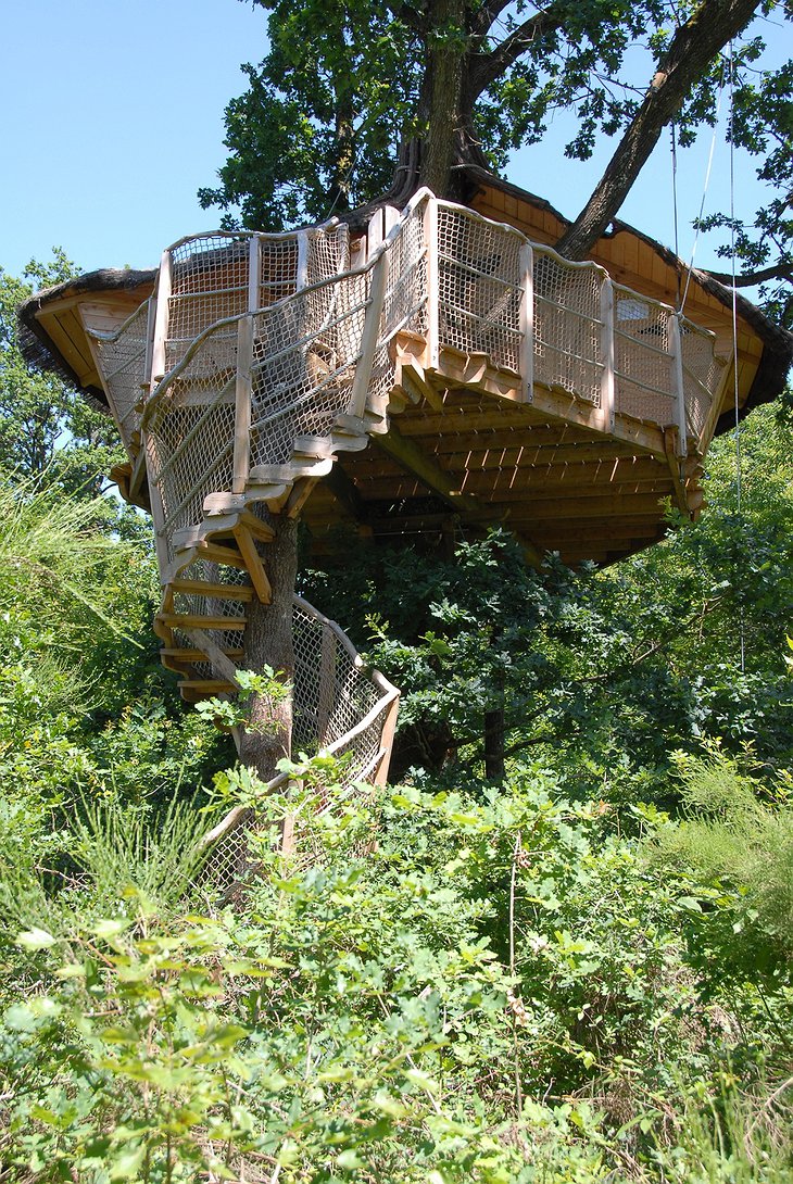 Alicourts tree house building