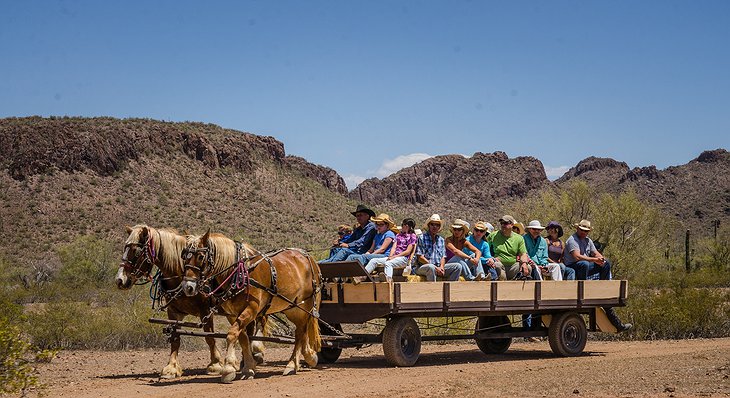 White Stallion Ranch Hayride