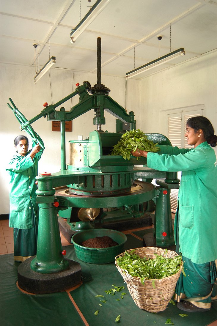 Tea factory in Sri-Lanka