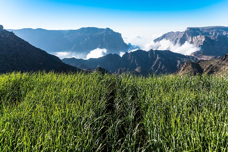 Al Hajar Mountain views