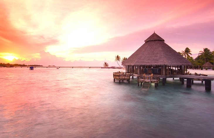 Conrad Maldives Rangali Island – Underwater Habitat