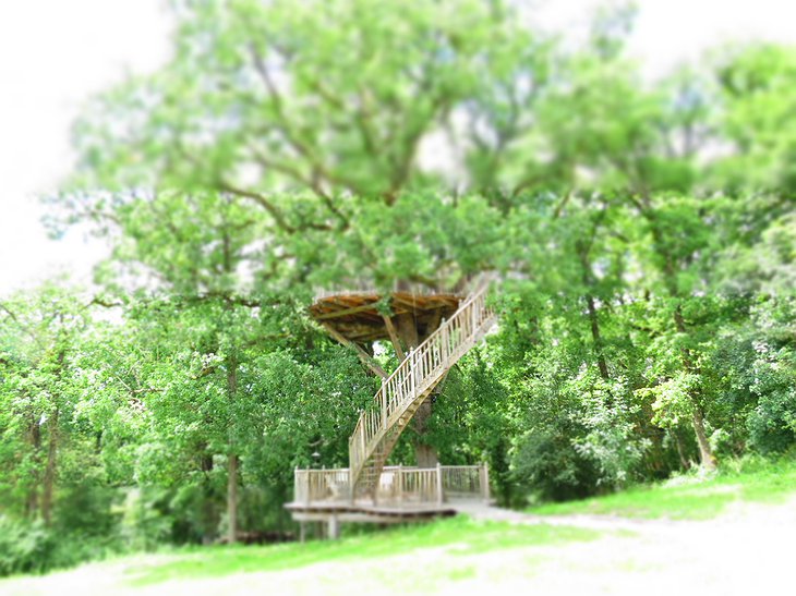 Treehouse stairs