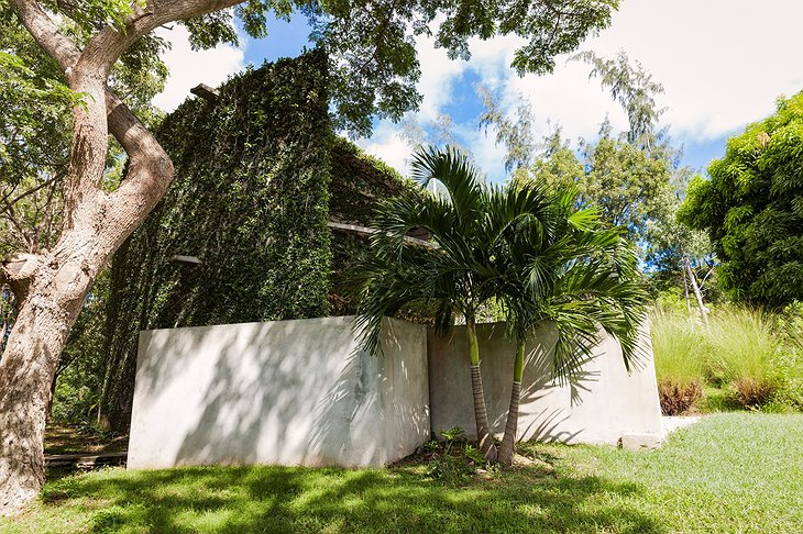 Triangular house facade with the jungle