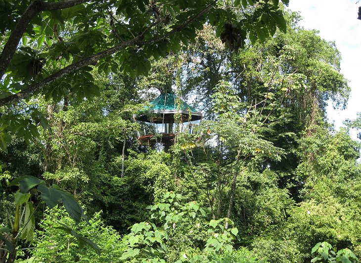 Nature Observatorio Manzanillo tree house