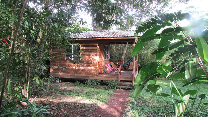 Parrot Nest Lodge bungalow with hammock