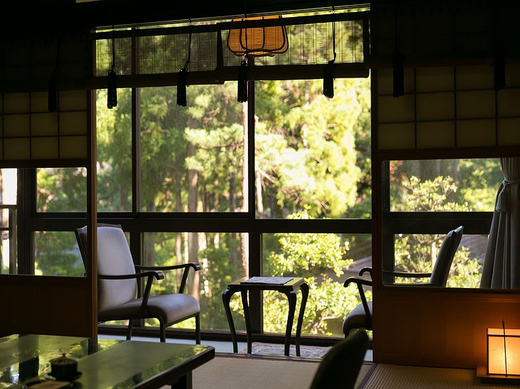 Hoshi Ryokan view to the garden