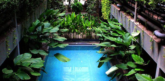 Greenhost Boutique Hotel Prawirotaman - Indoor Jungle Pool In Yogyakarta, Indonesia