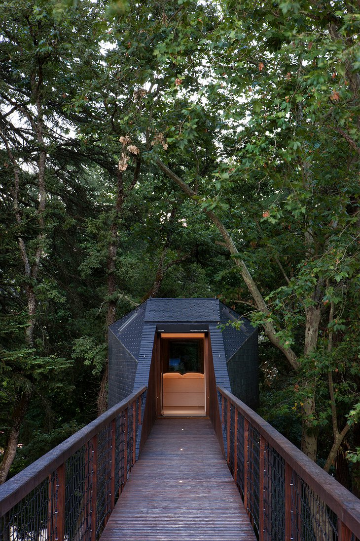 Bridge of the tree house