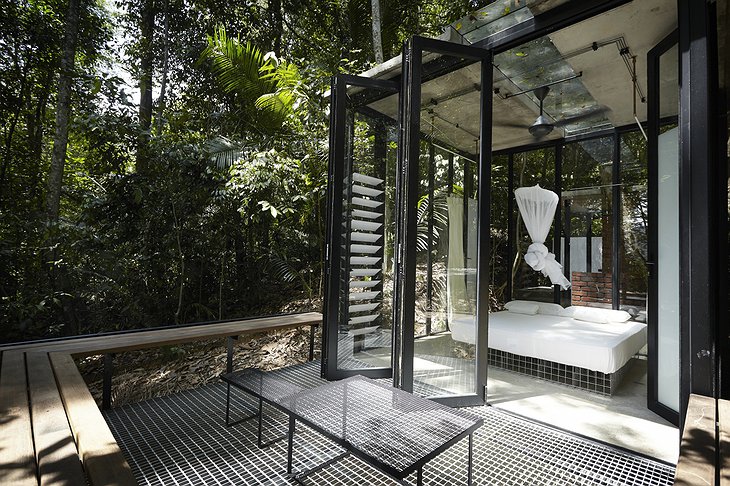 Glass Shed 2 transparent jungle room