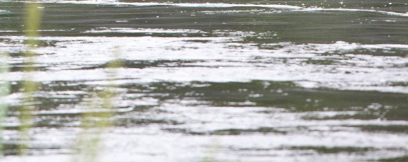 Mossman River kayaking