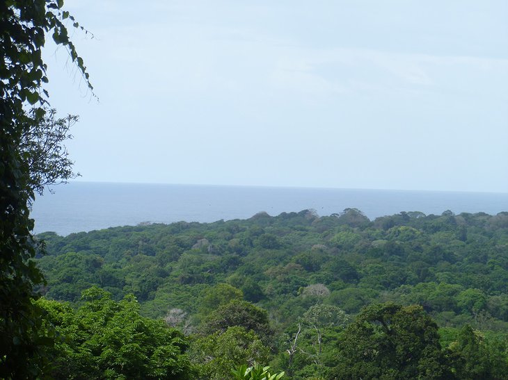 View from Nature Observatorio Manzanillo