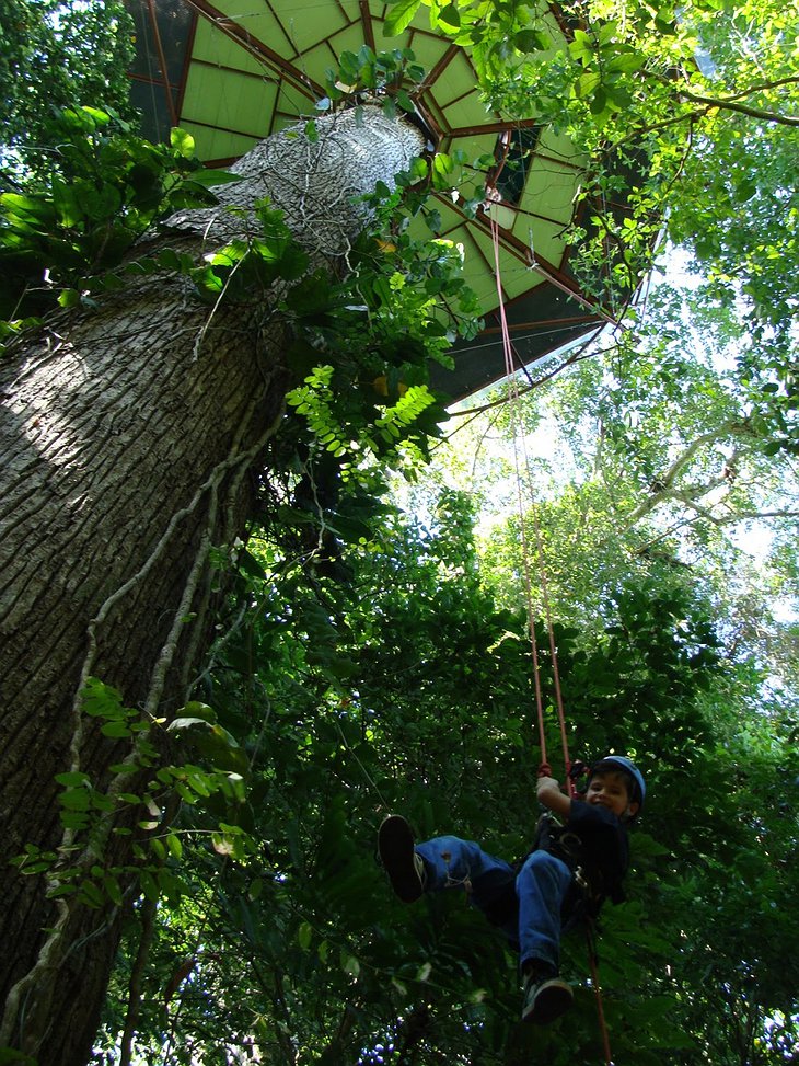 Nature Observatorio Manzanillo climbing from the bottom