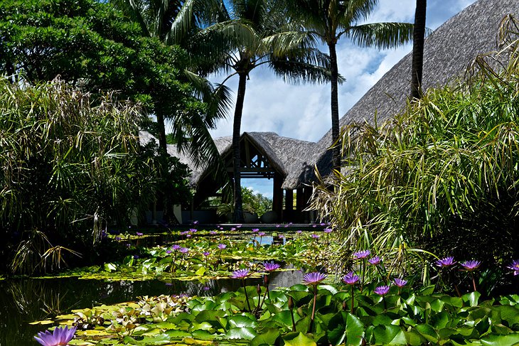 Le Méridien Bora Bora lobby garden