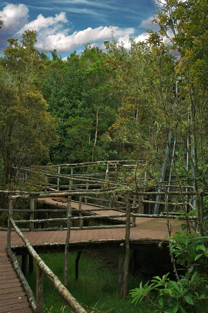 Espejo de Luna zig-zag paths in the nature