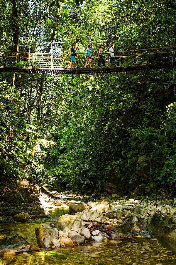 People walking on the jungle bridge