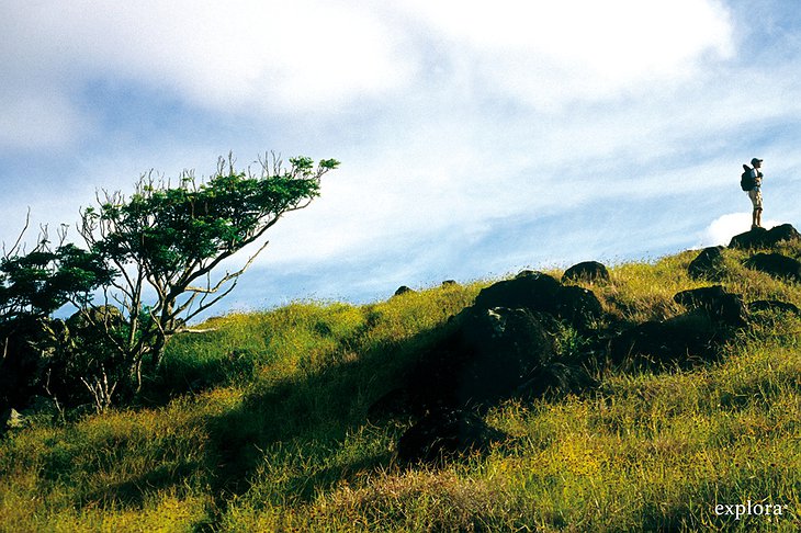 Trekking on Easter Island