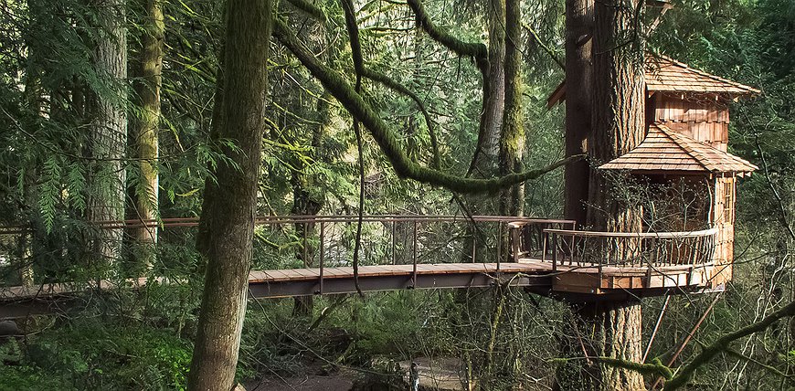 TreeHouse Point - Retreat Along The Raging River For Nature Lovers