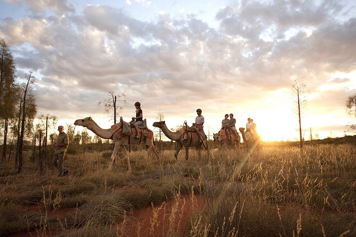 Camel ride