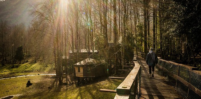 Huilo Huilo Canopy Village – Treehouse Swinging Life