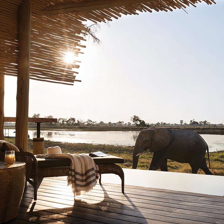 Belmond Eagle Island Lodge Elephant