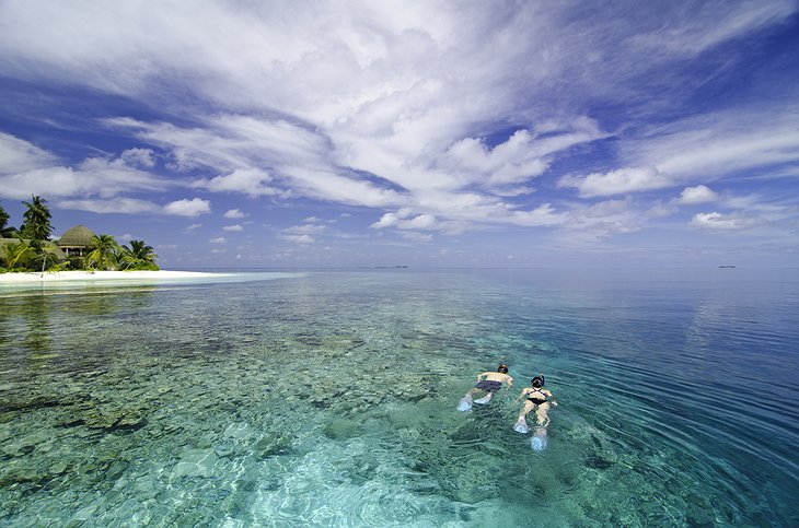 Kandolhu Island snorkelling