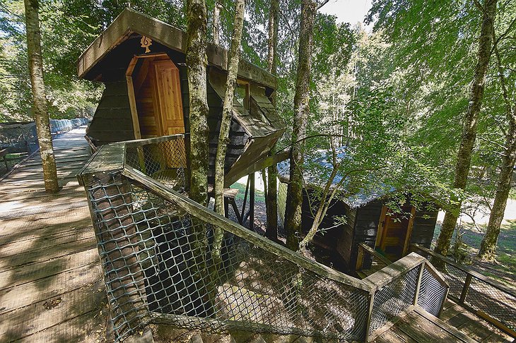 Canopy Village Tree Houses