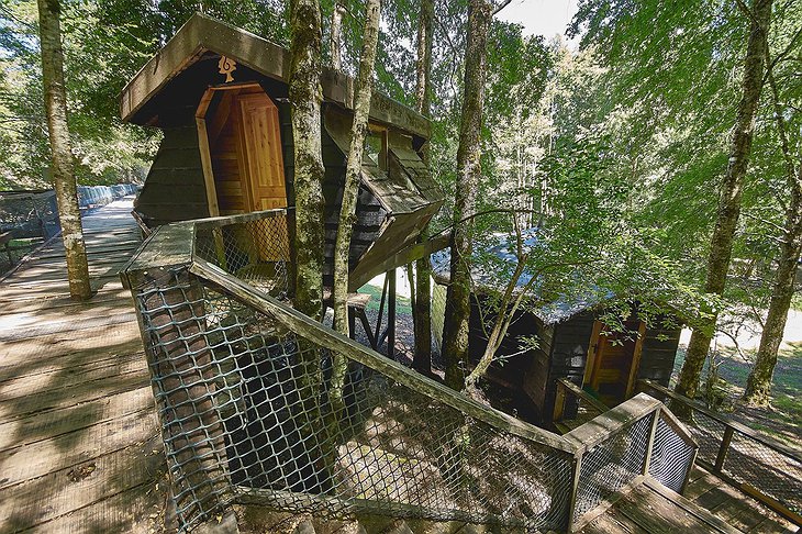 Canopy Village Tree Houses