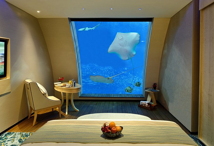 Ocean Suites aquarium