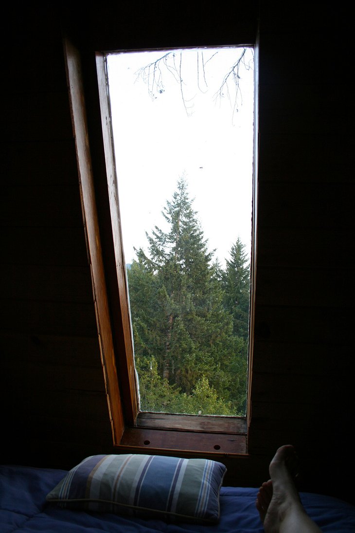 Cedar Creek Treehouse room view