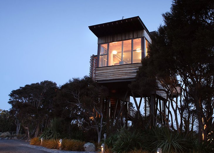 Hapuku Lodge tree house at night