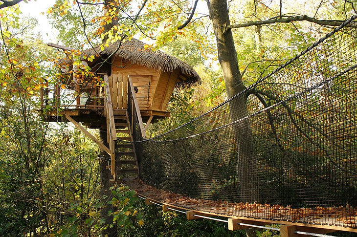 Couple tree house