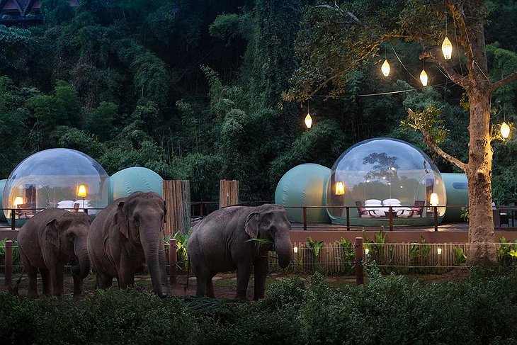 Sleep with the elephants Bubble accommodation