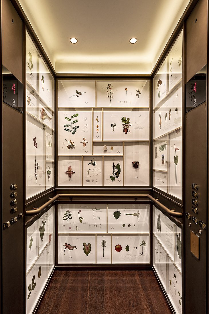 Rosewood São Paulo Hotel Artistic Elevator