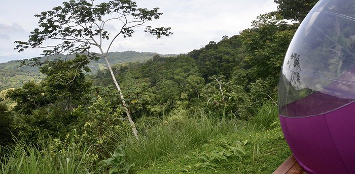 Love Sphere - Jungle Spheres Of Costa Rica
