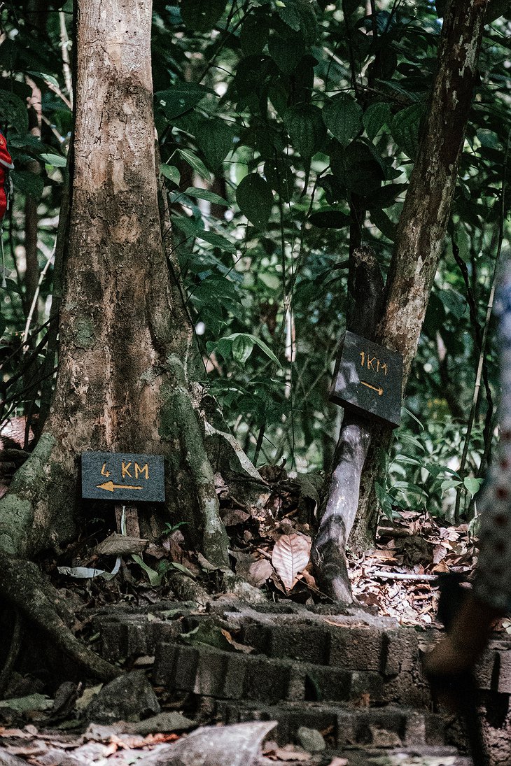 Montezuma jungle trekking