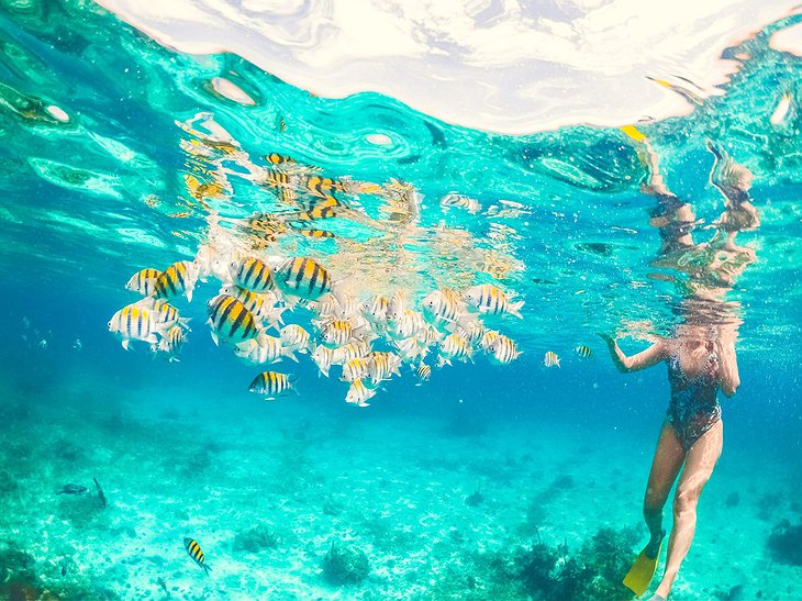 Snorkeling In The Caribbean Sea In Negril