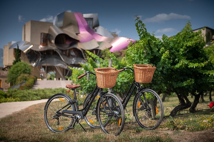 Hotel Marques De Riscal Bicycle Rental