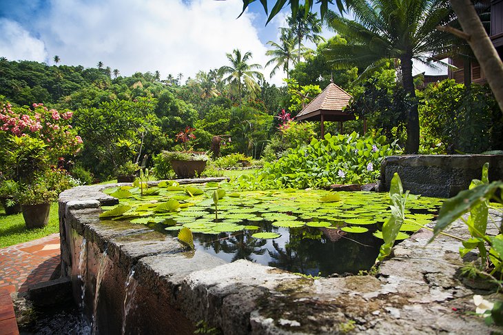 Ladera Resort gardens