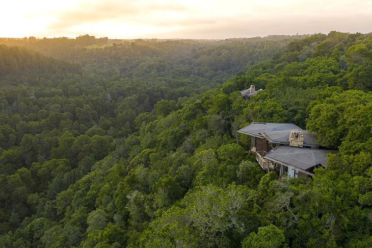Tsala Treetop Lodge In The Valley Of Canopies