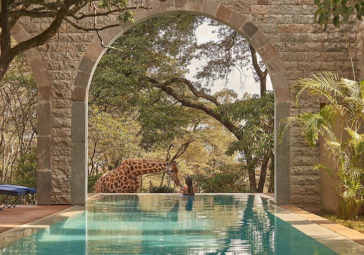 Giraffe Manor private terrace