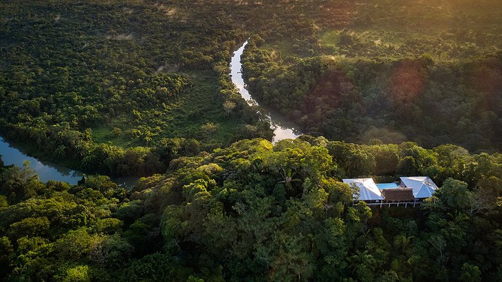 Belize Jungle River