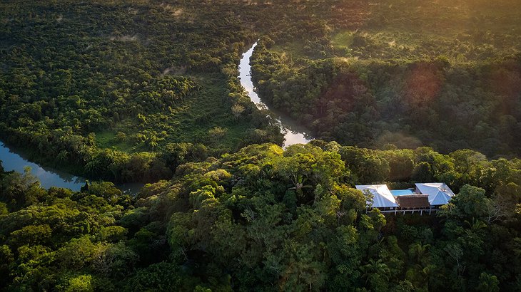 Belize Jungle River