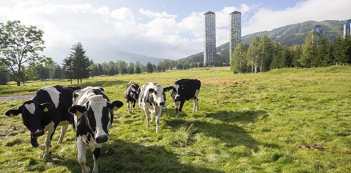 Tomamu The Tower｜Hoshino Resorts - Japanese Farm Stay In Skyscrapers