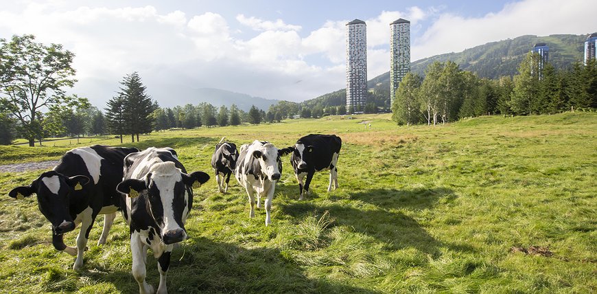 Tomamu The Tower｜Hoshino Resorts - Japanese Farm Stay In Skyscrapers